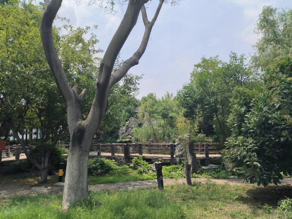 某園林資產價值評估